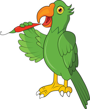 Parrot Eating Red Chili Vector Illustration Graphic