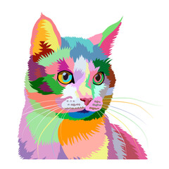 Rainbow portrait of a cat with multi-colored eyes on a white background