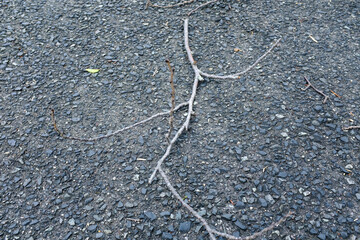 Obraz premium wood chips