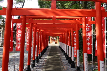 Japanese shrines and temples : Daifukuinari-jinjya Subordinate Shrine in the precincts of Ogaki-hachiman-jinjya in Ogakishi in Gifu Prefecture : 日本の神社仏閣 :  岐阜県大垣市の大垣八幡神社境内にある大福稲荷神社