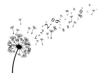 Naklejka premium Dandelion with flying numbers and seeds. Vector decoration from scattered elements. Monochrome isolated silhouette. Conceptual illustration.
