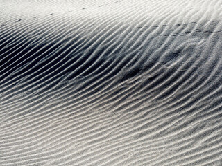 Sand dune surface waves with small animal and insect tracks