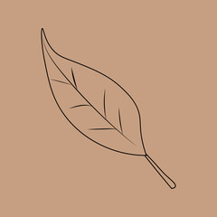 Set of hand drawn leaf outlines. Vector illustration. on the autumn background