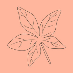 Set of hand drawn leaf outlines. Vector illustration. on the autumn background