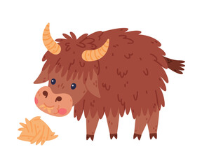 Cute Yak Character with Dense Fur and Horns Chewing Hay Vector Illustration