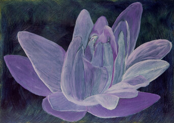 Abstract translucent purple flower hand painted with oil paints on a dark blue background on canvas - 529114009