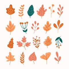 Set of autumn elements.Autumn leaves.Fall.Hand drawn autumn leaves