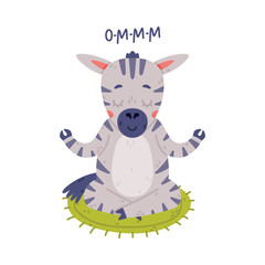 Funny Zebra with Black-and-white Striped Coat Meditating in Lotus Pose Vector Illustration