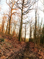 Obraz premium Vallée de la Bièvre