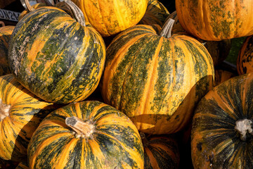 Pile of pumpkins for halloween decoration sold at a local farmer's market