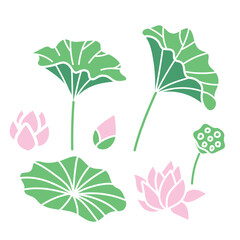 蓮のイラスト６