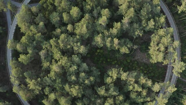 Aerial view of Fietsen door de Bomen, a walking path in a garden, Hechtel-Eksel, Limburg, Belgium.