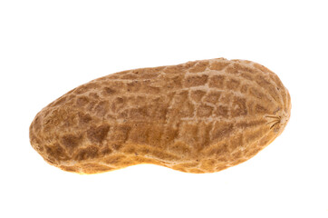 peanut in shell isolated