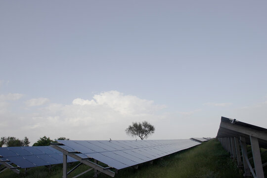 50 MW Thin Film Solar Plant In Rawara, Rajasthan