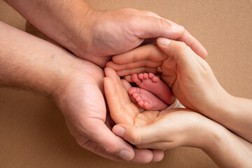 The palms of the parents. A father and mother hold the feet of a newborn child . The feet of a newborn in the hands of parents. Photo of foot, heels and toes.