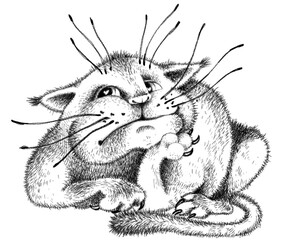 Romantic dreaming and slightly doubtful cat. For t-shirt designs, kindergarten and coloring books. Cheerful and funny character. Emoji.