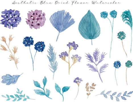set of elegant soft blue flower watercolor