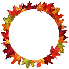 Watercolor draw of maple leaves in ornamental border. Round frame from autumn leaves isolated on white background. Design for letter and card, decor, covers, seasonal offers.
