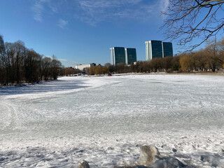 winter in city park at dry sunny day