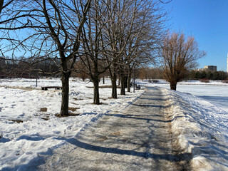 winter in city park at dry sunny day