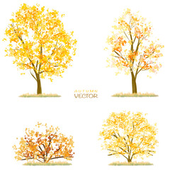 Vector watercolor blooming flower tree or forest side view isolated on white background for landscape and architecture drawing,elements for environment or and garden,botanical for section in autumn