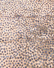 패턴 백그라운드