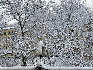 winter in city yard at cloudy day after snowfall