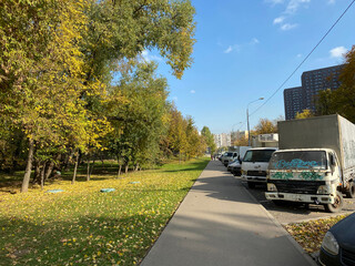 autumn in park at dry sunny fall day