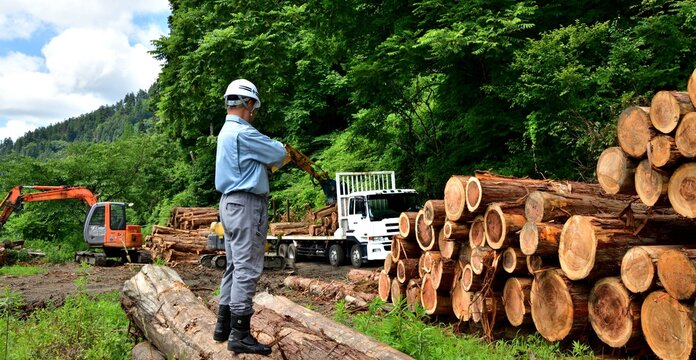 林業・国産材を出荷する