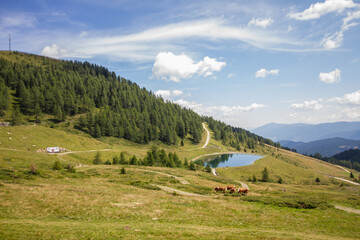 Fototapeta na wymiar Landscape of the alps with lake at Salzburger Land near Sankt Michael im Lungau during summer at skiing area Grosseck Speiereck, Austria, Europe
