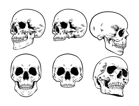 Set of skull vector Illustration, handdrawn skull
