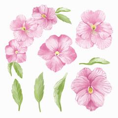 set of pink flowers isolated