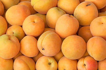 Apricots at a farmers market background
