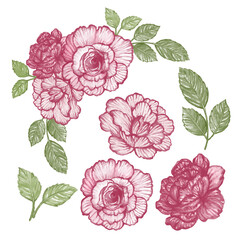 seamless pattern with  red pink roses jpg