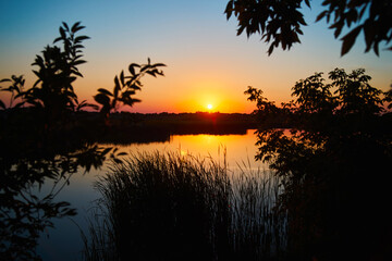 Fototapeta na wymiar Sunset over a river with a blue sky in the background and bulrush leaves in the foreground in defocus