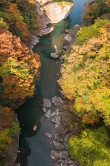 紅葉の山間に荒川の渓谷
