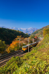紅葉の上越線の電車と谷川岳