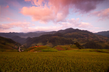 Fototapeta premium Rice fields on terraced of Mu Cang Chai, YenBai, Vietnam. Vietnam landscapes.