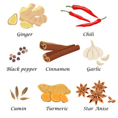 Set of spices on white background, Hand drawn icons vector illustration