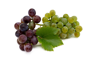 Roter und Weiße Weintrauben isoliert auf weißen Hintergrund