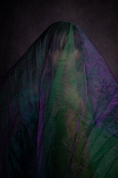conceptual fine art studio portrait of boy coverd by green and purple veil