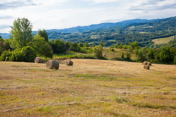 Countryside summer farmland nature landscape. Golden round hay bale on agriculture farm pastureland...