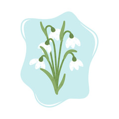 Blooming snowdrops. Beautiful spring flowers, vector illustration
