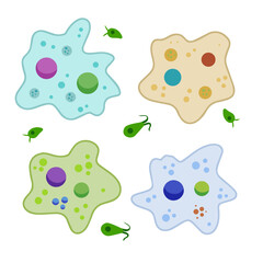 Amoeba cell. Small unicellular animal. Virus and bacteria. Education and science.