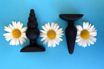 Sex shop assortment. Black butt plags and chamomile on blue background. Sex toy for enjoyment