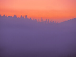 Carpatian mountains at the fog