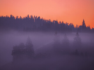 Carpatian mountains at the fog