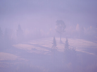 Carpatian mountains at the fog