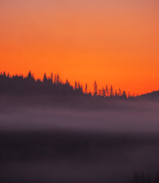 Carpatian mountains at the fog
