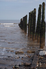 pier in the sea